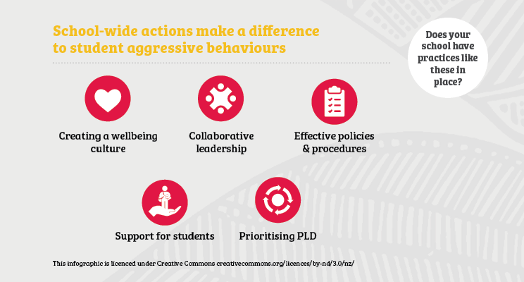 Positive practices on school-wide actions