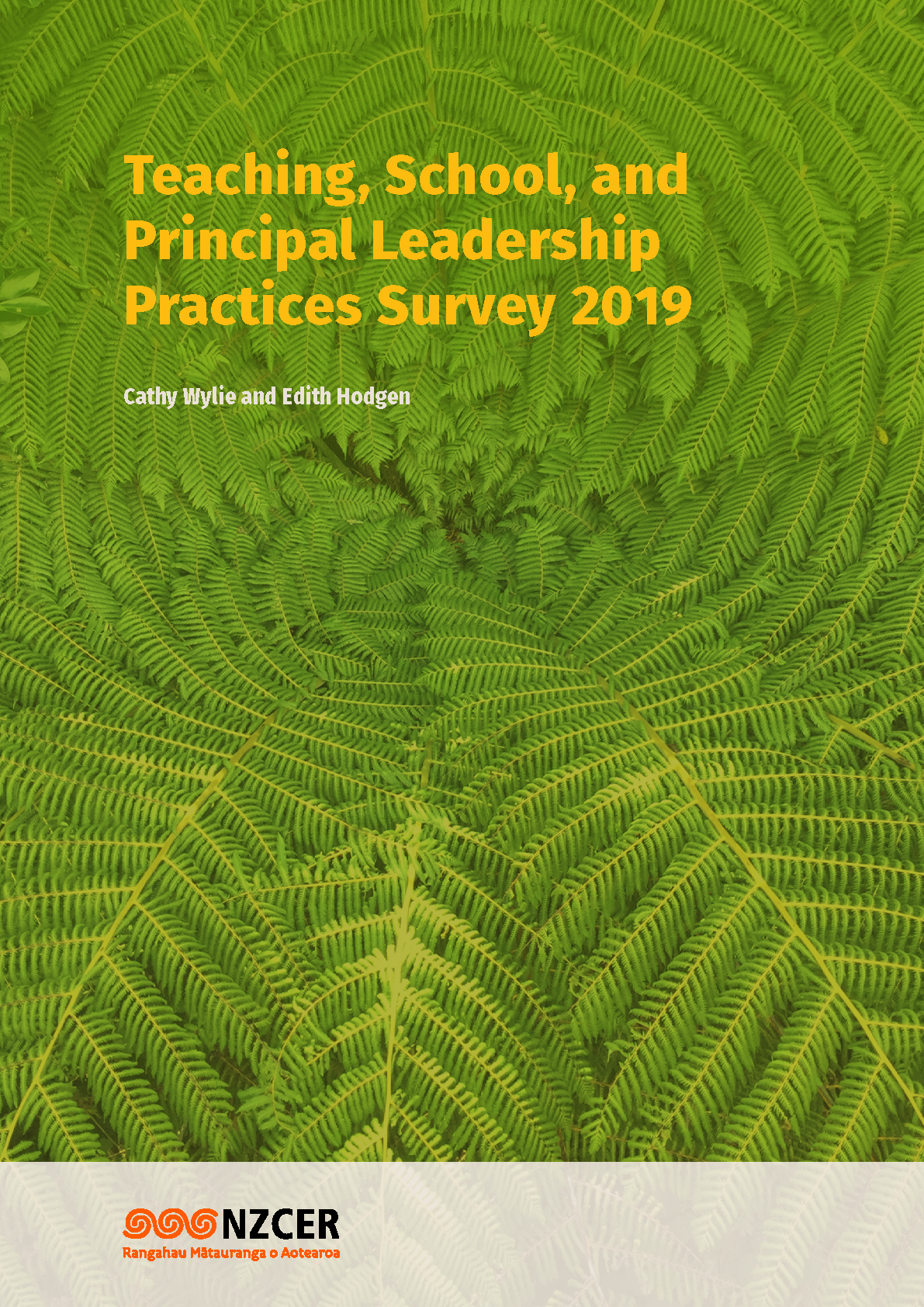 Teaching, School, and Principal Leadership Practices Survey 2019 (Aggregate report)