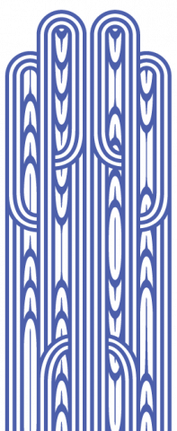 About NZCER motif