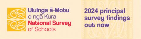 National Survey 2024 principal report banner