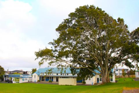 Exterior of a primary school classroom with grass and trees 