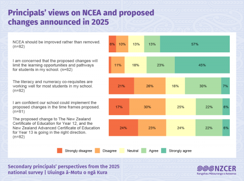 Graph highlighting principal perspectives on NCEA 