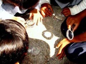 children investigating 