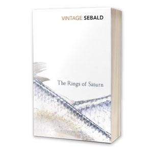 Cover of Rings of Saturn book
